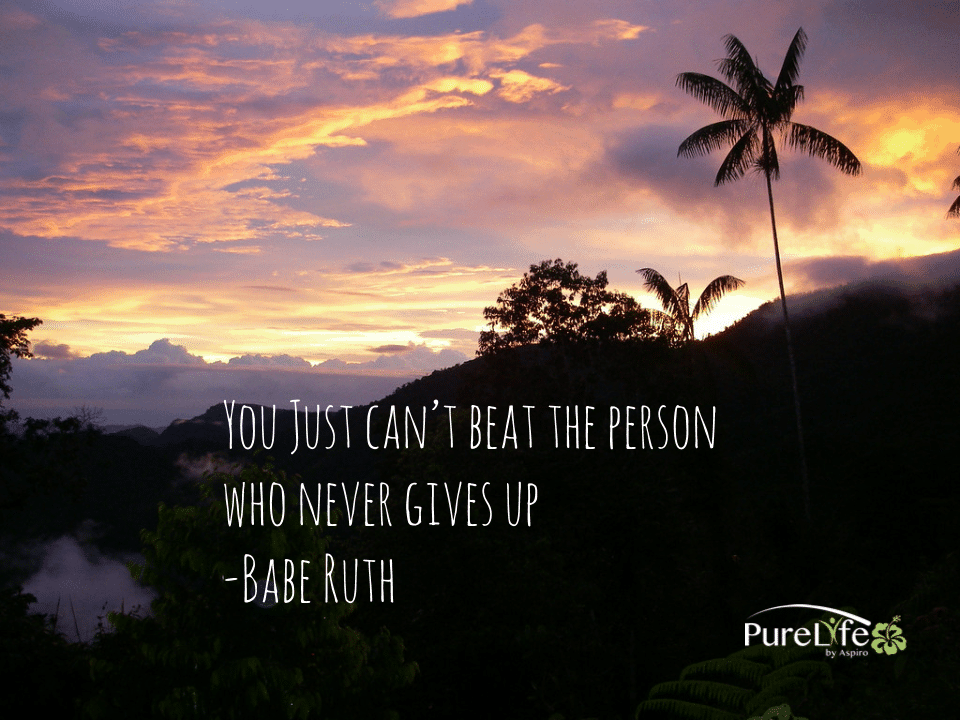 Babe Ruth meme - Pure Life Adventure in Costa Rica